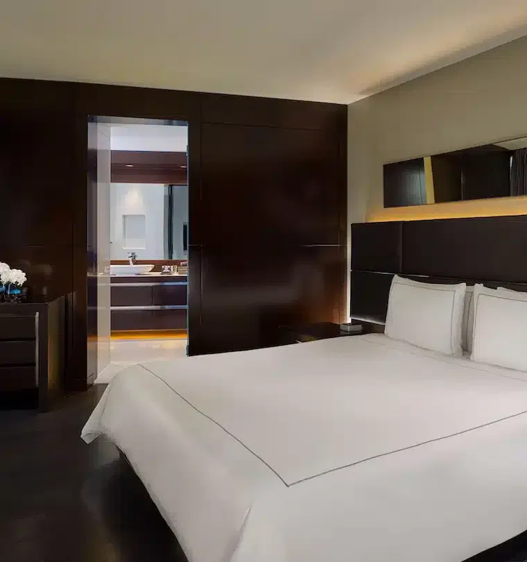 2o Sports Voyages - Séjour Match Angleterre France Tournoi des 6 nations 2025 Park Plaza Westminster Bridge