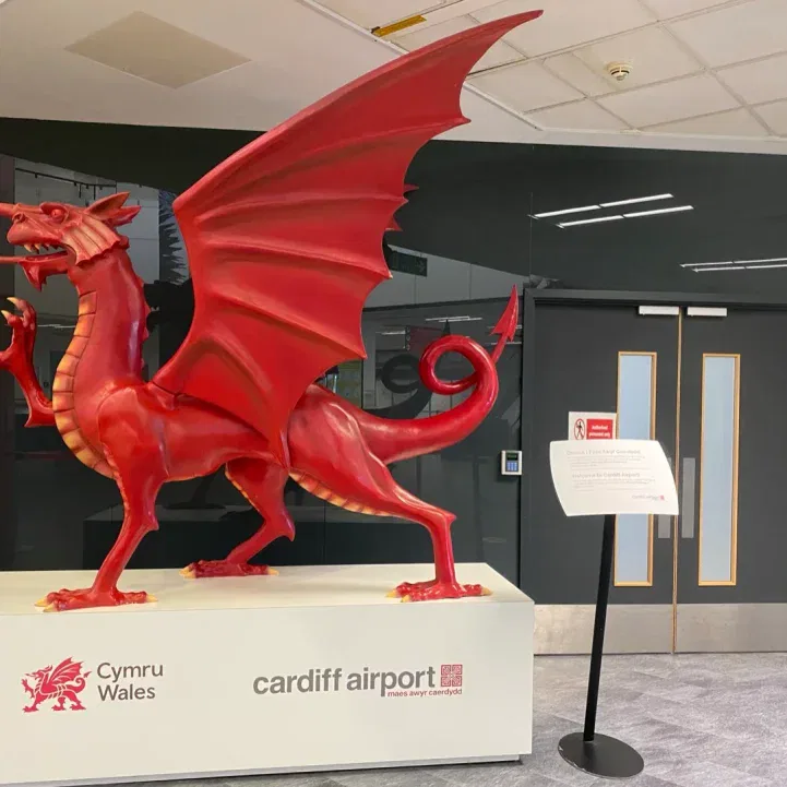 ville cardiff 2026 img 9596