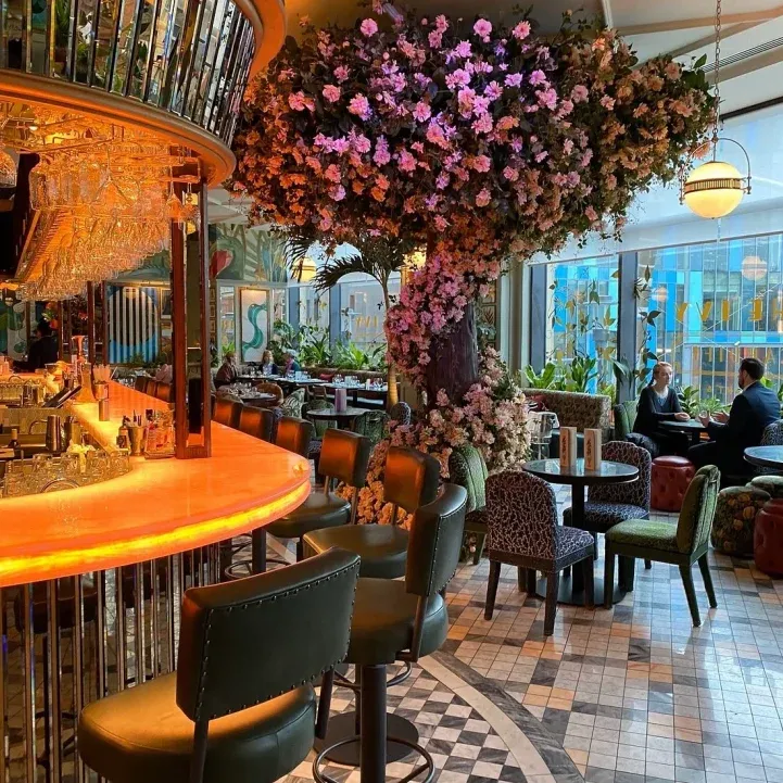 cardiff 2026 rest the ivy 03